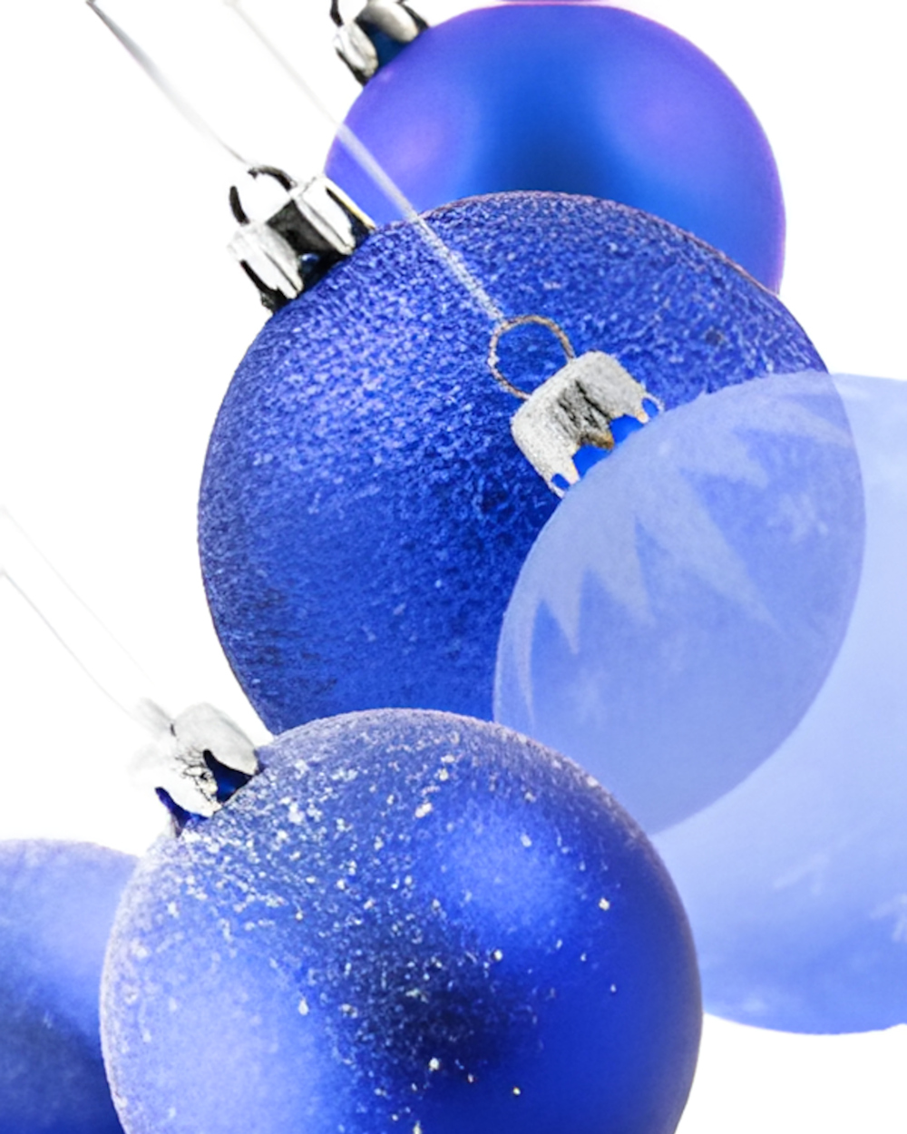 Featured image for “Holiday Celebration!”
